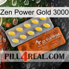 Zen Power Gold 3000 42